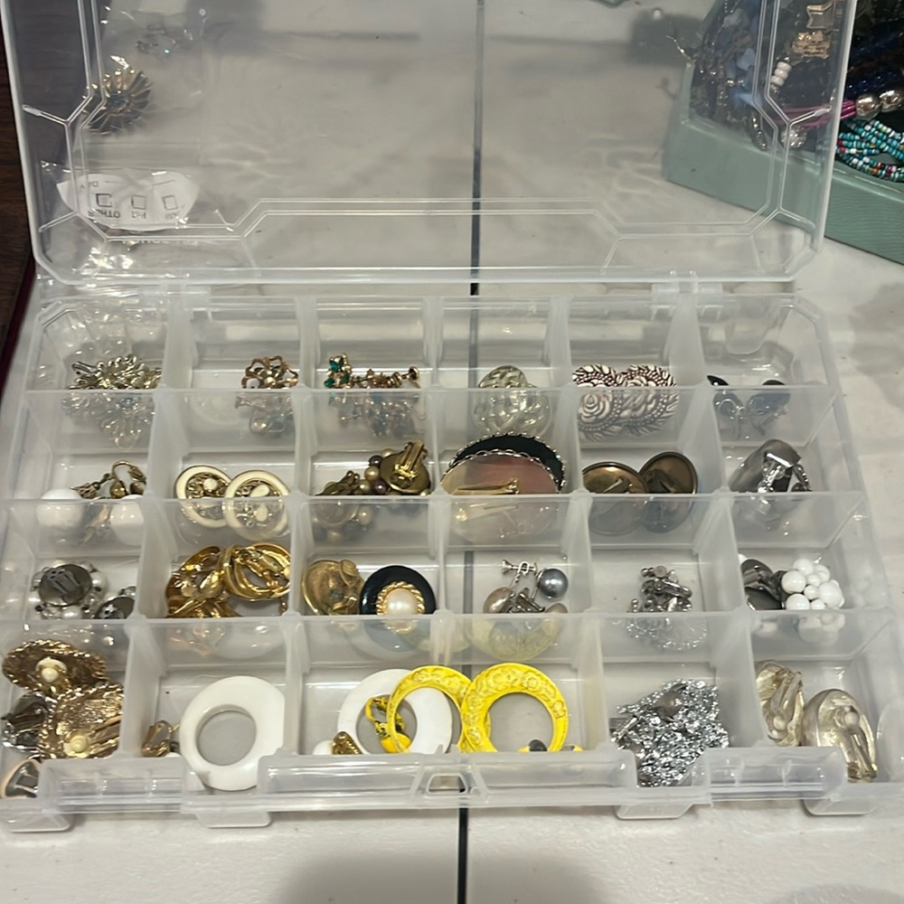 Vintage Clip-Ons